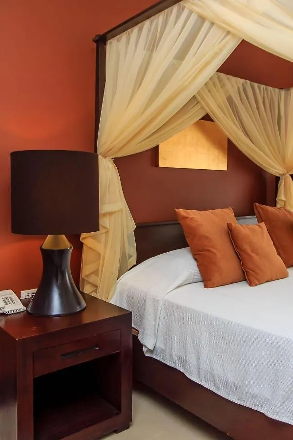 At 1110 Studio Perfect Getaway Close Mamitas Beach Playa del Carmen Appartement